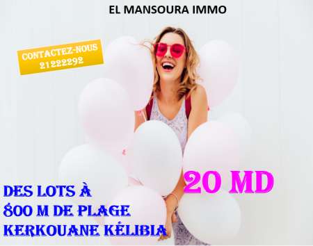 Photo ads/1893000/1893432/a1893432.png : Des terrains a vendre � kerkouane k�libia 29711072