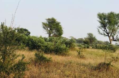 Photo ads/2262000/2262703/a2262703.jpg : Terrain agricole de 8 � Tassette