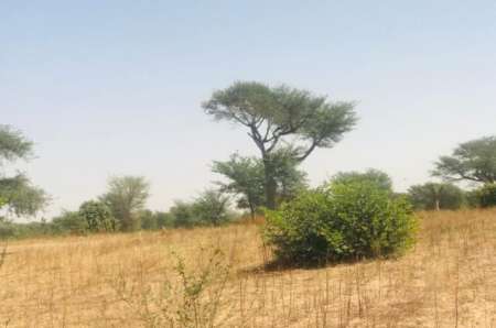 Photo ads/2263000/2263626/a2263626.jpg : Terrain de 18 � Tassette