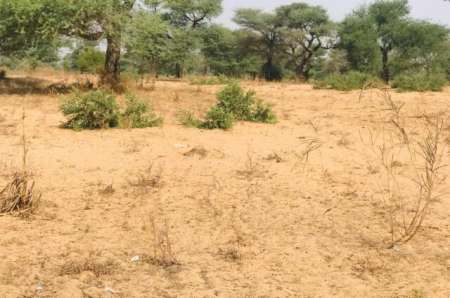 Photo ads/2263000/2263683/a2263683.jpg : Terrain agricole de 13 m� � Touba Toul