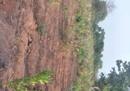 Photo ads/2264000/2264197/a2264197.jpg : Terrain agricole de 01 hectare vers S�dhiou