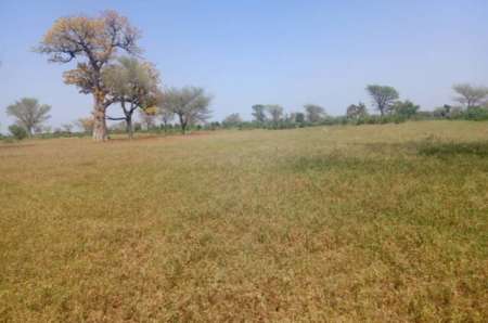 Photo ads/2365000/2365562/a2365562.jpg : Terrain agricole 8,28 ha vers Thi�naba