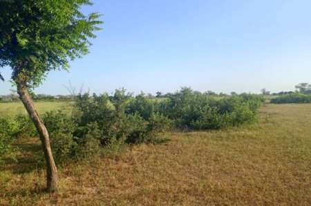 Photo ads/2365000/2365566/a2365566.jpg : Terrain agricole 10 ha vers Tassette