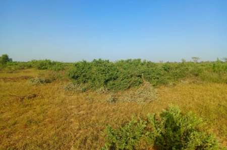 Photo ads/2365000/2365575/a2365575.jpg : Terrain agricole de 20 ha vers Tassette