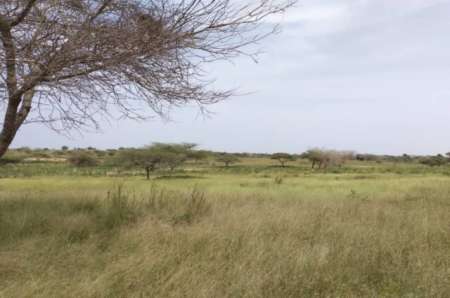 Photo ads/2369000/2369784/a2369784.jpg : Terrain agricole de 2,50 ha vers Thieppe