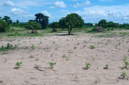 Photo ads/2369000/2369792/a2369792.jpg : Terrain agricole de 1,88 ha vers Keur Moussa