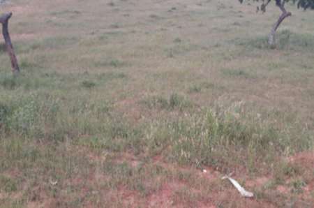 Photo ads/2369000/2369818/a2369818.jpg : Terrain agricole de 8266 m� vers Lompoul