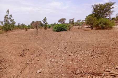 Photo ads/2369000/2369833/a2369833.jpg : Terrain agricole de 6840 m� Notto Diobass