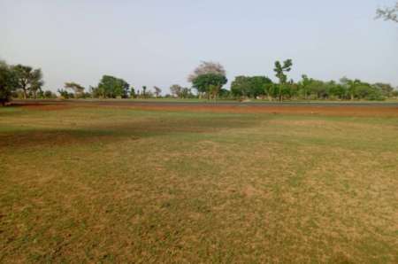 Photo ads/2369000/2369846/a2369846.jpg : Terrain agricole de 2963 m� vers Diourbel