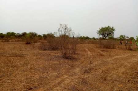 Photo ads/2369000/2369847/a2369847.jpg : Terrain agricole de 1,01 ha vers Thi�naba