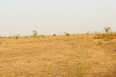 Photo ads/2373000/2373505/a2373505.jpg : Terrain agricole de 3,20 ha vers Ngu�ni�ne