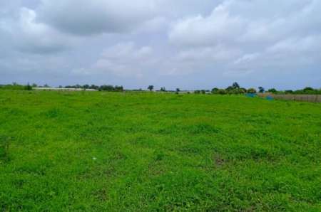 Photo ads/2374000/2374408/a2374408.jpg : Terrain agricole de 8 ha vers Keur Moussa