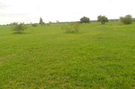 Photo ads/2374000/2374453/a2374453.jpg : Terrain agricole de 3 ha vers Koungheul