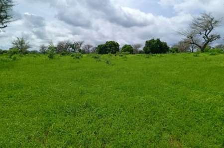 Photo ads/2374000/2374460/a2374460.jpg : Terrain agricole 8579 m� vers Notto Diobass