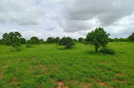 Photo ads/2374000/2374464/a2374464.jpg : Terrain agricole de 1,33 ha vers Notto Diobass