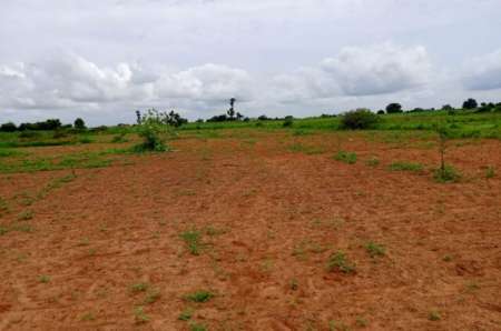 Photo ads/2374000/2374466/a2374466.jpg : Terrain agricole de 6797 m� vers Notto Diobass