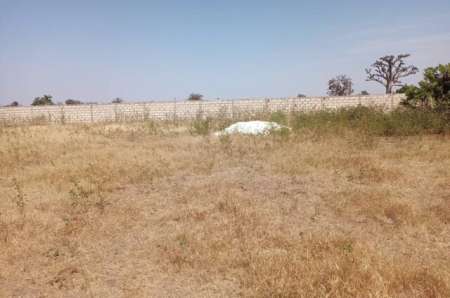 Photo ads/2374000/2374495/a2374495.jpg : Verger agricole de 6 ha vers Sandiara