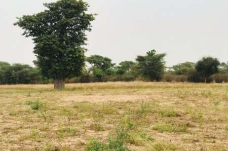 Photo ads/2375000/2375100/a2375100.jpg : Terrain agricole de 1,26 ha vers M�ouane