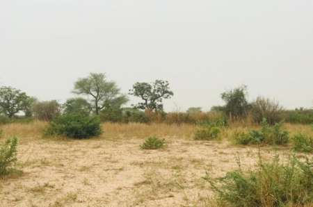 Photo ads/2375000/2375108/a2375108.jpg : Terrain agricole de 1,87 ha vers M�ouane