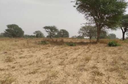 Photo ads/2375000/2375124/a2375124.jpg : Terrain agricole de 2 ha vers Notto Diobass