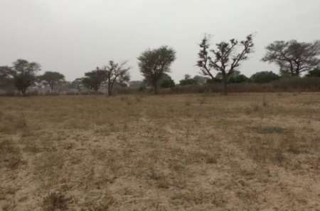 Photo ads/2375000/2375126/a2375126.jpg : Terrain agricole de 2 hectares vers Notto Diobass