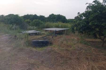 Photo ads/2376000/2376153/a2376153.jpg : Verger agricole de 2 ha vers Keur Samba Kane