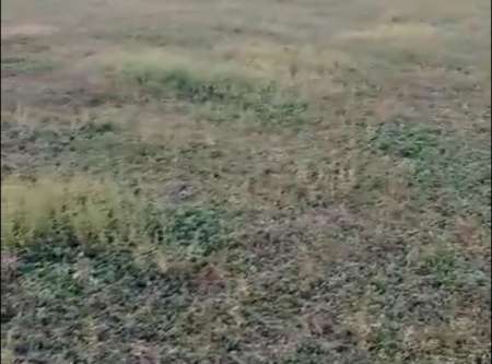 Photo ads/2376000/2376438/a2376438.jpg : Terrain agricole de 1,44 hectare vers Tataguine