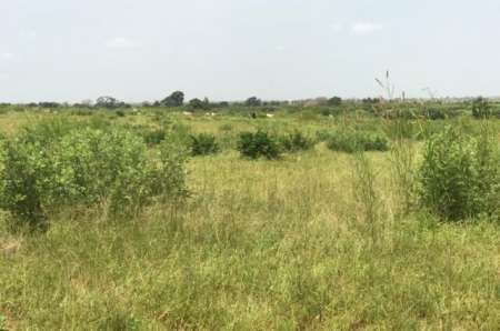 Photo ads/2376000/2376442/a2376442.jpg : Terrain agricole de 7 ha vers Thi�naba