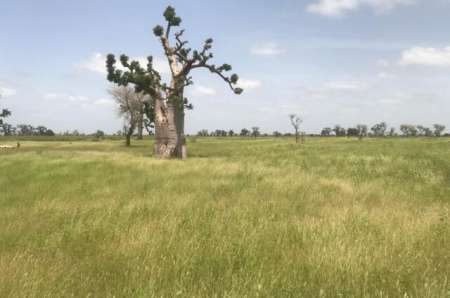 Photo ads/2376000/2376461/a2376461.jpg : Terrain agricole de 9 ha vers Tassette