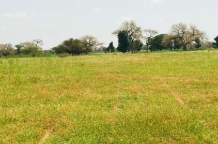 Photo ads/2377000/2377688/a2377688.jpg : Terrain agricole de 2860 m� vers Baba Garage