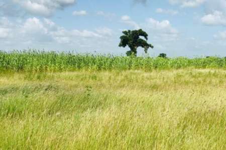 Photo ads/2377000/2377698/a2377698.jpg : Terrain agricole de 3 ha vers Malicounda