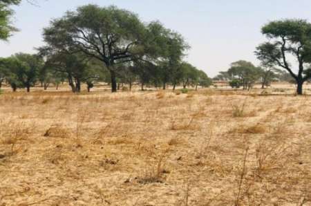 Photo ads/2377000/2377723/a2377723.jpg : Terrain agricole de 1,64 ha vers Tassette