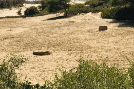 Photo ads/2377000/2377728/a2377728.jpg : Verger agricole de 4,50 ha vers Darou Khoudoss