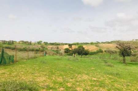 Photo ads/2377000/2377775/a2377775.jpg : Verger agricole de 2,50 ha vers Diokoul Diawrigne