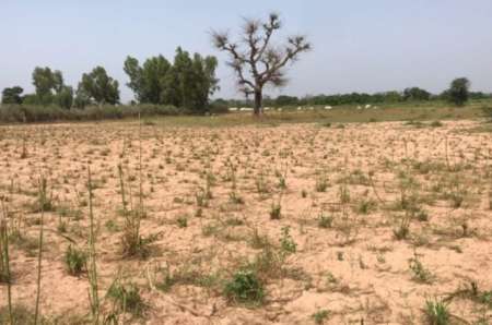 Photo ads/2377000/2377779/a2377779.jpg : Terrain agricole de 6156 m� S�ss�ne