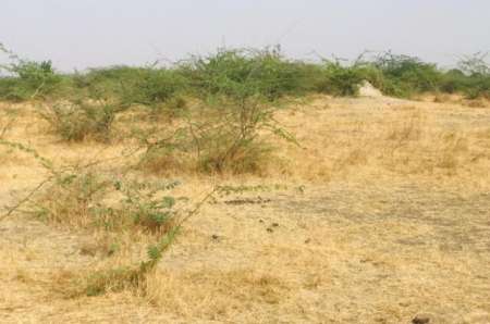 Photo ads/2378000/2378401/a2378401.jpg : Terrain agricole de 9419 m� vers Ngu�ni�ne