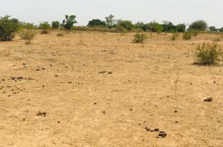 Photo ads/2378000/2378410/a2378410.jpg : Terrain agricole de 1,26 ha vers Notto Diobass