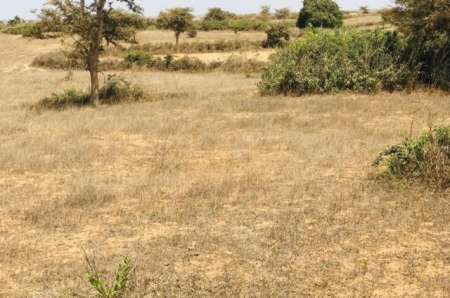 Photo ads/2378000/2378439/a2378439.jpg : Terrain agricole de 4142 m� vers Mont Rolland