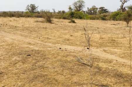 Photo ads/2378000/2378446/a2378446.jpg : Terrain agricole de 2 ha vers Mont Rolland