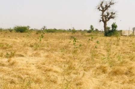 Photo ads/2378000/2378702/a2378702.jpg : Verger agricole de 3 ha vers Ngu�ni�ne