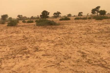 Photo ads/2378000/2378704/a2378704.jpg : Terrain agricole de 3 ha vers Thi�naba