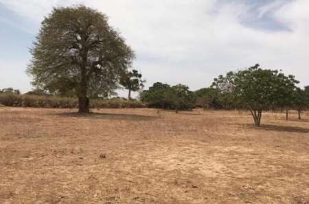 Photo ads/2378000/2378722/a2378722.jpg : Verger agricole de 8049 m� vers Tassette