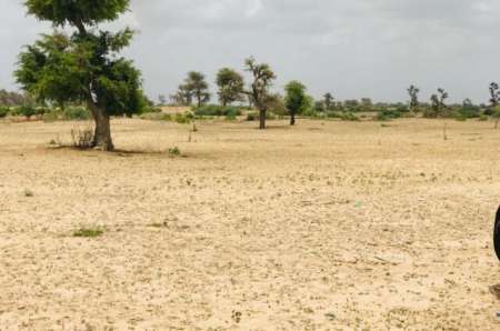 Photo ads/2378000/2378728/a2378728.jpg : Terrain agricole de 3 ha vers Fand�ne