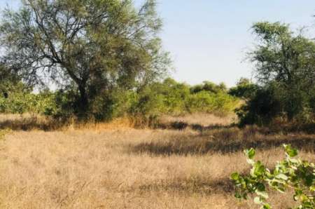 Photo ads/2400000/2400316/a2400316.jpg : Terrain agricole de 2,47 hectares vers Thi�naba