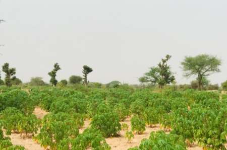 Photo ads/2400000/2400328/a2400328.jpg : Terrain agricole de 1,73 hectares vers M�ouane