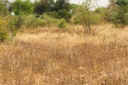 Photo ads/2400000/2400332/a2400332.jpg : Terrain agricole de 1,38 hectare vers M�ouane