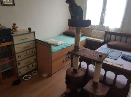 Photo ads/2644000/2644605/a2644605.jpg : Pr JF,F cherchant o� dormir et de la stabilit�