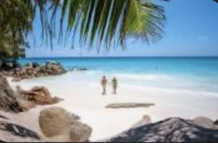 Photo ads/2658000/2658112/a2658112.jpg : F ch h organisateur pluralit�