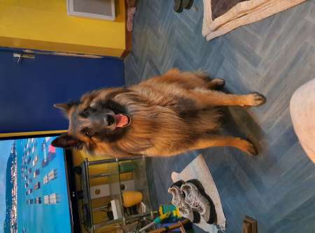 Photo ads/2660000/2660805/a2660805.jpg : Homme dominant disponible pour r�el