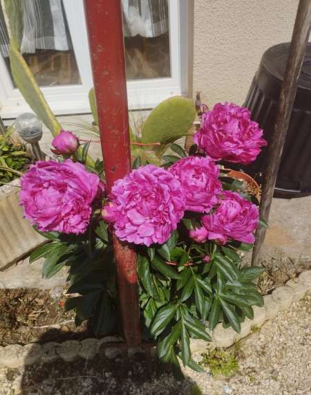 Photo ads/2661000/2661376/a2661376.jpg : Recherche femme 50 a 72 ans